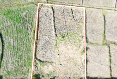 Land for Sale in Jhulpokhari